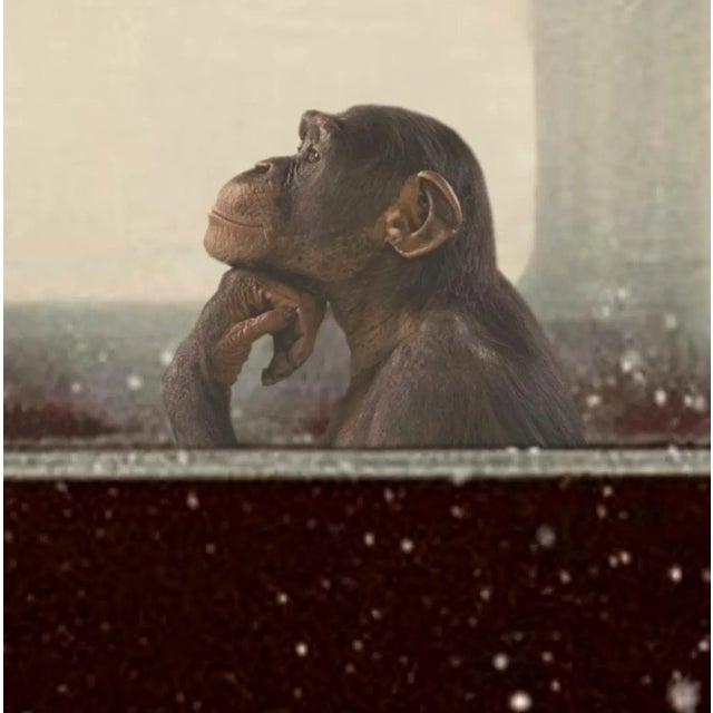 To be or not to be ii / mr strange/ photomanipulation. Mr strange (jean-marie gitard) is a french artist handling...