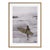 Laguna Beach Surfers 1970 by Slim Aarons Brown Framed C-Print For Sale