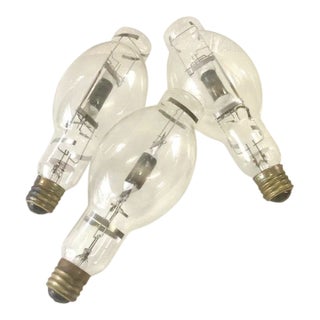 Set of 3 Vintage Industrial XL Light Bulbs For Sale