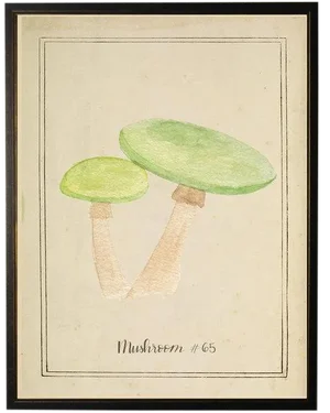 Green Mushrooms in Black & Copper Shadowbox 13 X 17