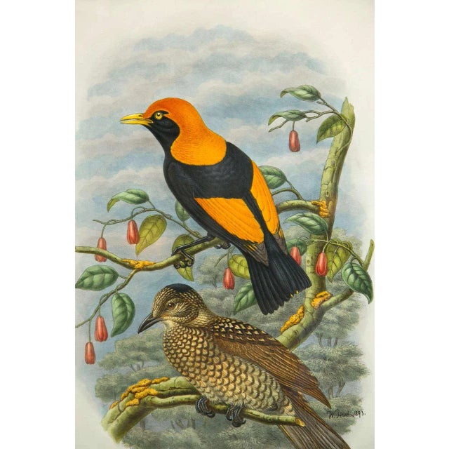 1920s Fine ly Framed Lithographs - a Pair For Sale In New York - Image 6 of 9