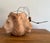 Late 20th Century Lion Terra-Cotta Hanging Planter For Sale - Image 6 of 8
