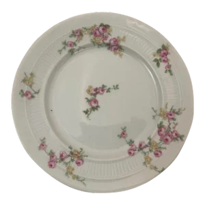 Haviland Limoges Floral Porcelain Dinner Plates Set of 4