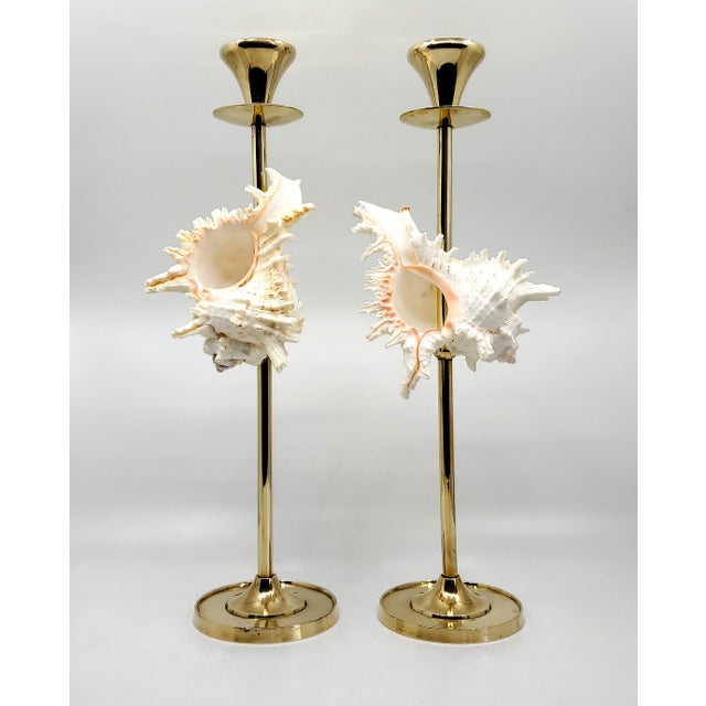 Brass Candlesticks Shells Seashells Pair For Sale - Image 13 of 15