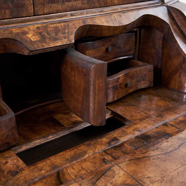 Antique Cabinet in Walnut Veneer, 1900s For Sale - Image 6 of 18