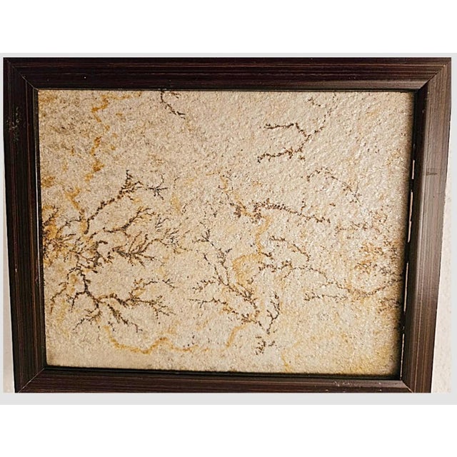 Antique Brazilian Sandstone Framed Plaque Dendrite Fossil Ferns Miniature Geologic Fern For Sale In Monterey, CA - Image 6 of 14