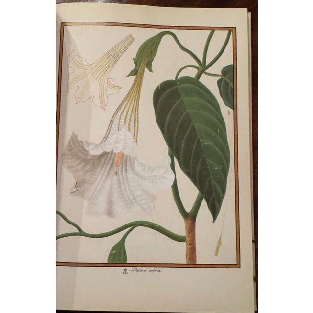 Paper Florilegium Imperiale Botanical Illustrations for Francis I of Austria Prestel Hardcover in Slipcase For Sale - Image 7 of 8