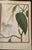 Paper Florilegium Imperiale Botanical Illustrations for Francis I of Austria Prestel Hardcover in Slipcase For Sale - Image 7 of 8