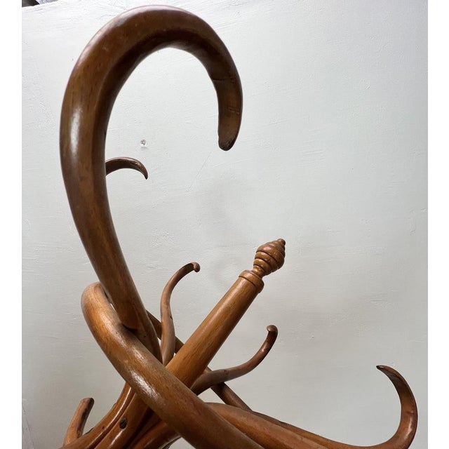 Tan Free Standing Coat Rack in the style of Thonet, 1950s For Sale - Image 8 of 15