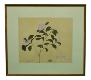 "Peach Red Camellia" Chinese Floral Watercolour