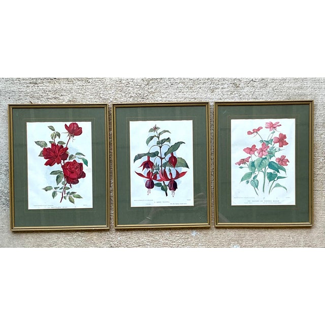 Vintage Botanical Floral Prints in Gilt Frames - Set of 3 For Sale - Image 9 of 16