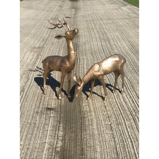 Large Mid Century Brass Deer Floor Statues a Pair Chairish