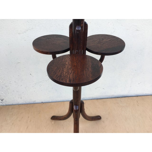 Bentwood Flower Bed from Thonet, 1940s For Sale - Image 11 of 18