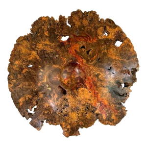 Striking Buckeye Burl Turned Wood Wall Sculpture