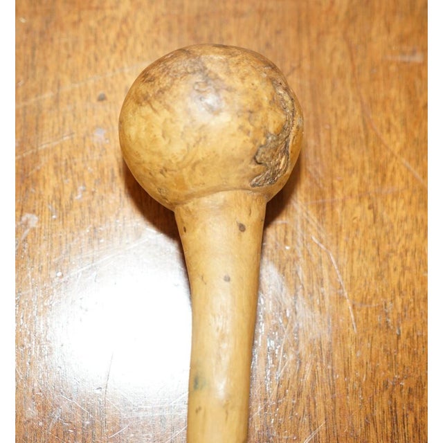Antique Irish Knobkerrie Stick For Sale - Image 12 of 18