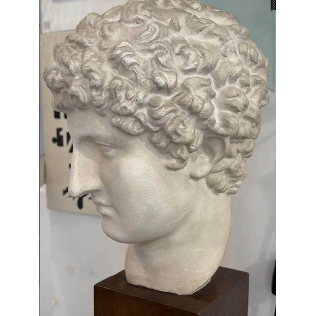 Hermes head. On a wooden base. Very good condition.