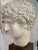 Hermes head. On a wooden base. Very good condition.