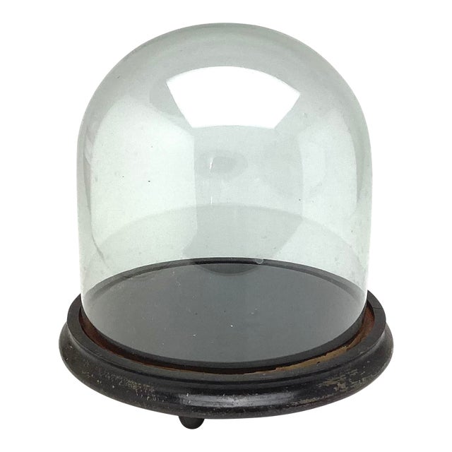 Antique Hand Blown Glass Cloche Dome With Wood Base 11 1/2” by 11” Tall For Sale