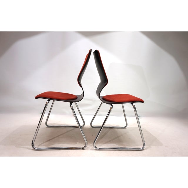Pagwood Chairs by Elmar Flötotto, 1970s, Set of 2 For Sale - Image 10 of 15