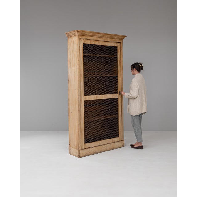 19th Century French Wooden Cabinet with Metal Mesh Screen For Sale - Image 12 of 12