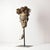 The Salampasu people, numbering 60,000, reside to the east of the Kasai River on the border of the Democratic Republic of...