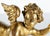 Antique Wood Carved Gold Gilt Flying Winged Putti For Sale In San Francisco - Image 6 of 8