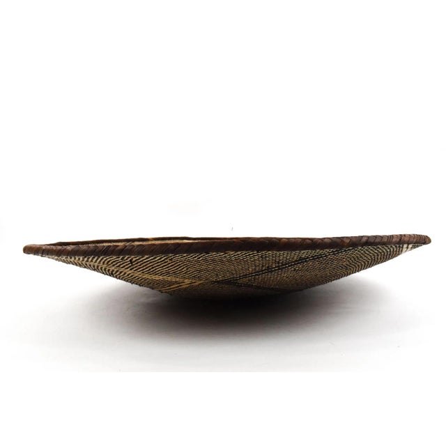 African Early 20th Century Tonga Binga Basket 24 Inch For Sale - Image 3 of 7