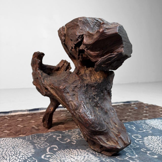Antique Japanese Root Wood Ikebana Display, 1900s For Sale - Image 9 of 12