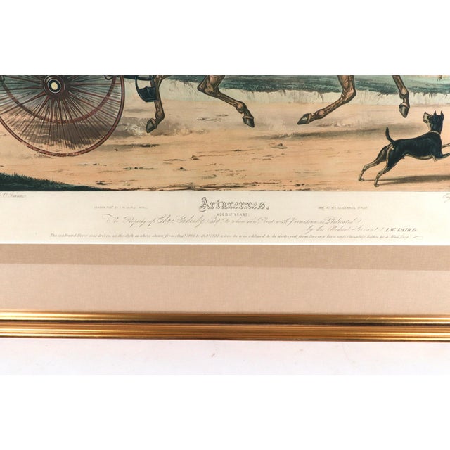 Mid 19th Century Large Aquatint of the Celebrated Trotting Stallion Artaxerxes After Francis Calcraft Turner For Sale - Image 5 of 9