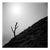 Paul Cooklin, Tree, Castleton, Peak District, Edition of 50 For Sale