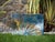 Eastern Sun in Raku Ceramic, 2024 For Sale - Image 13 of 14