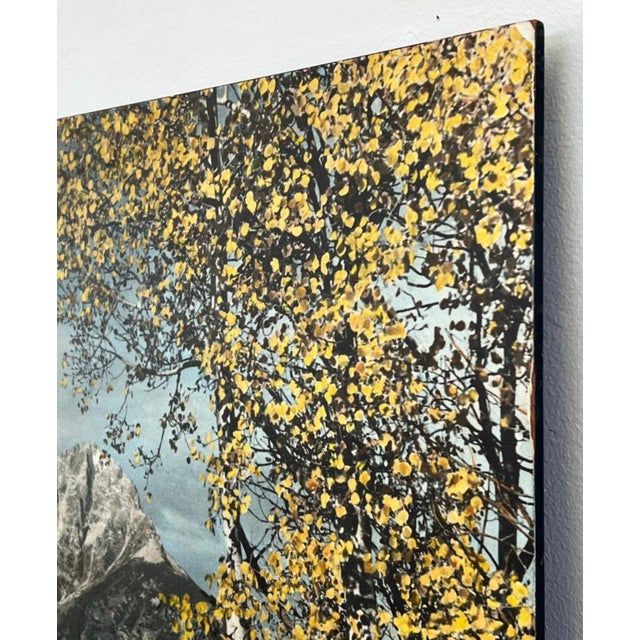 Vintage Mountain Landscape Photographic Print on Board, Autumn Scenic Wall Art.. For Sale - Image 10 of 10