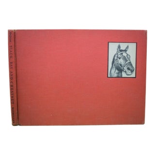 "Black, Bay and Chestnut: Profiles of Twenty Favorite Horses" 1939 Anderson, c.w. For Sale