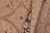 Peach Shabby Chic Peach/Brown Wool Rug - 8'11'' X 12'5'' For Sale - Image 8 of 10