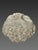 Neoclassical Gallic Sculpture, Celtic Votive Head in Limestone, 2nd-1st Century BC, Archaeology For Sale - Image 3 of 4