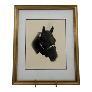 Vintage Black and White Western Equestrian Horse Portrait Photograph For Sale