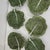 Majolica Dodie Thayer Style Cabbage Bowls Majolica Ac Pereira Portugal 20th C. - Set of 10 For Sale - Image 4 of 16