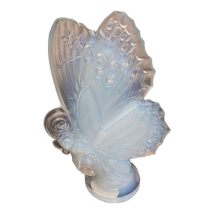 Sabino Butterfly With Closed Wings