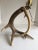 1950s Antler Table Lamp Made of two natural antlers Height is to top of socket: 14" Design Styles: Mountain Chic, Cabin...