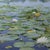 Impressionist The Lily Pond by Sheri Farabaugh | Oil on Canvas Landscape with lily pads and flowers on water For Sale - Image 3 of 5