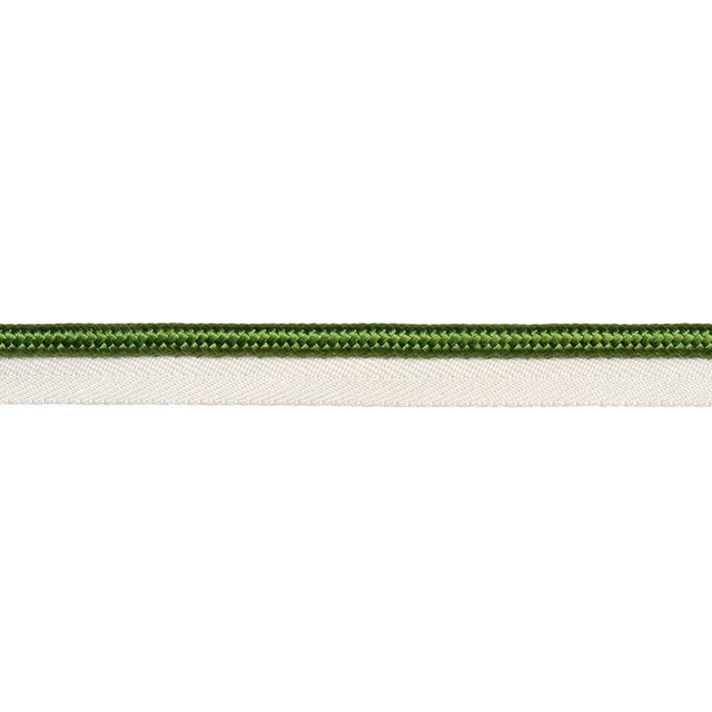 Sample - Schumacher Gustave Silk Lip Cord Wide Trim In Green For Sale