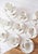 1950s Giraud Limoges Coffee Set with Hand-Painted Gold Leaves, 1950s, Set of 22 For Sale - Image 5 of 9