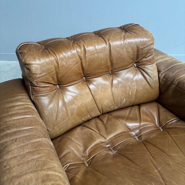 Brown DS40 Lounge Chair by Robert Haussmann for De Sede, 1970s For Sale - Image 8 of 14