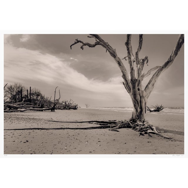 Contemporary Art Edition "Goddess of the Strand 3/3" Signed and Numbered Original Nude Woman Photograph For Sale