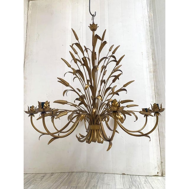Chandelier in brown and gold handmade brushled metal, 8 lights, wrought iron Florentine art made in Italy diameter 90 cm =...
