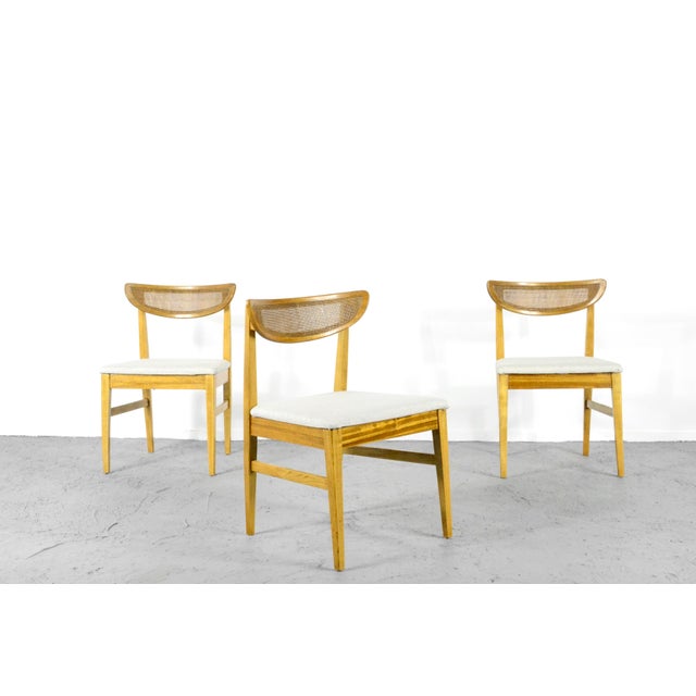 Vintage Teak and Cane Bergere Chairs, Set of 4, in Very Good conditions. Designed 1960 to 1969