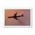 Contemporary Guy Sargent, American Airlines, Archival Pigment Print For Sale - Image 3 of 6