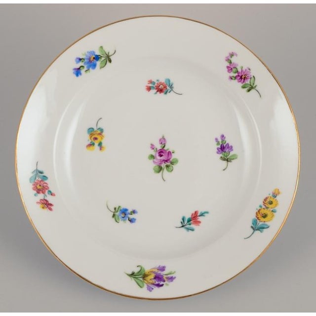 Plates with Polychrome Flower Motifs with Gold Rim, Meissen, Germany, 1920s, Set of 6 For Sale - Image 6 of 9