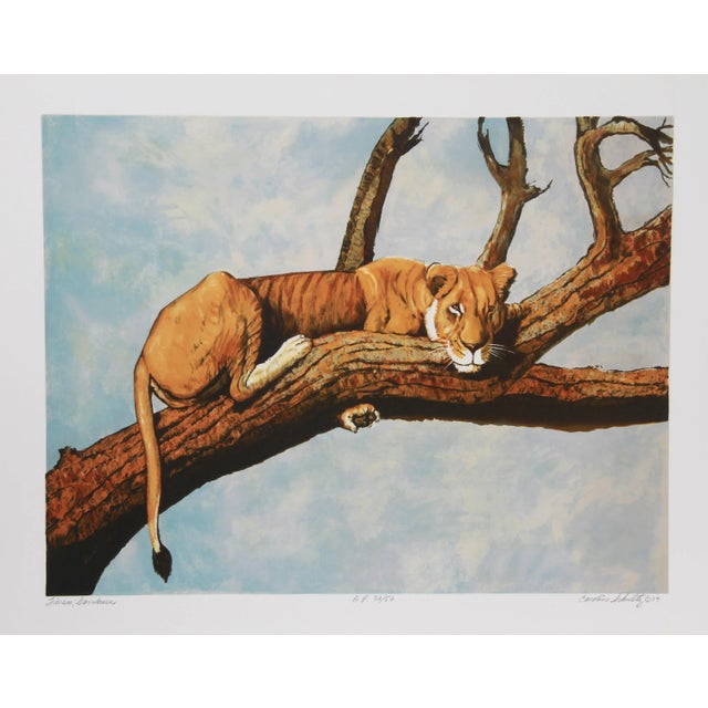 Figurative 1970s "Lioness Sambaru" Lithograph by Caroline Schultz For Sale - Image 3 of 3