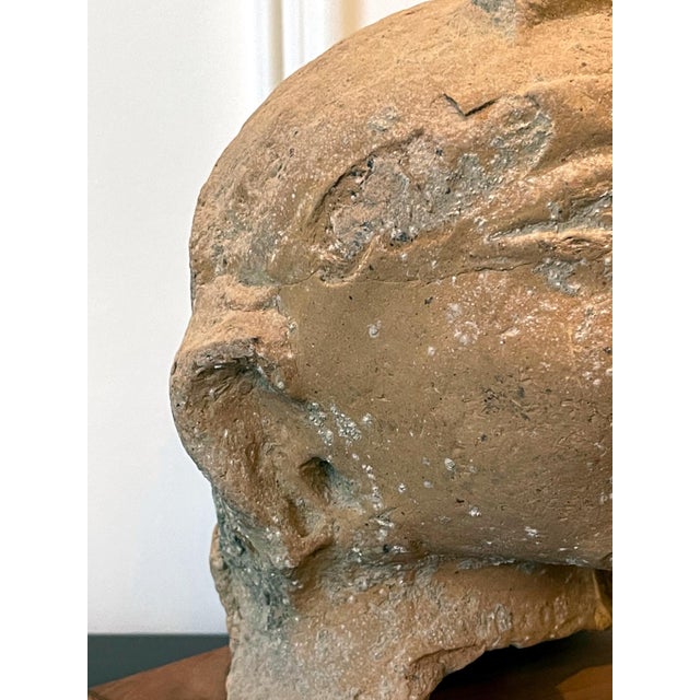 Indian Terracotta Sculpted Head Gupta Period For Sale - Image 15 of 17